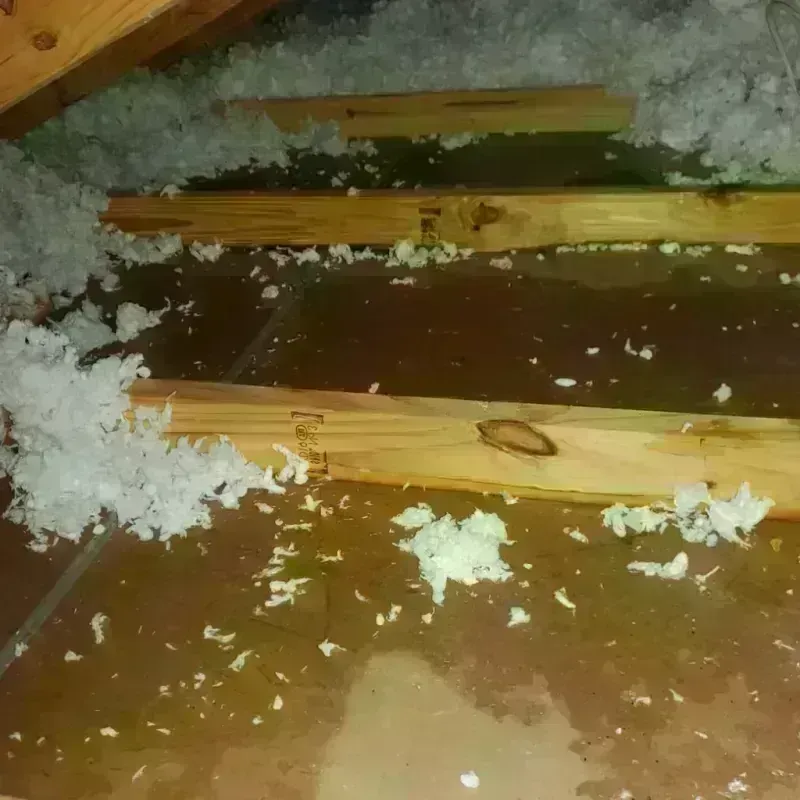 Attic Water Damage in Mineral Springs, AR